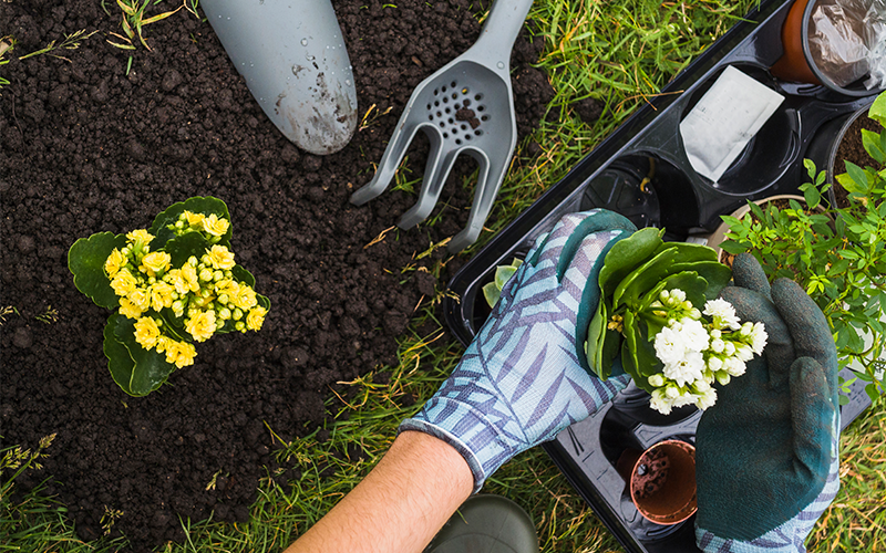 How to Choose the Right Gardening Glove